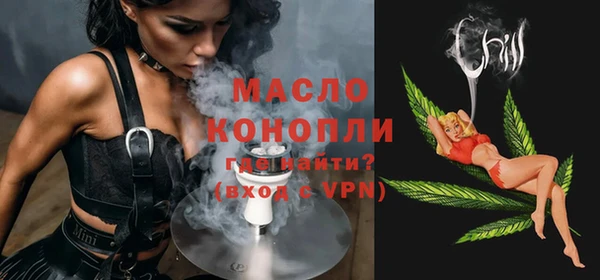 хмурый Аркадак