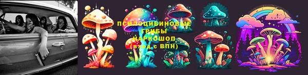 мескалин Алексин