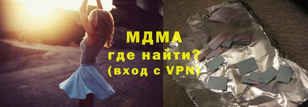хмурый Аркадак