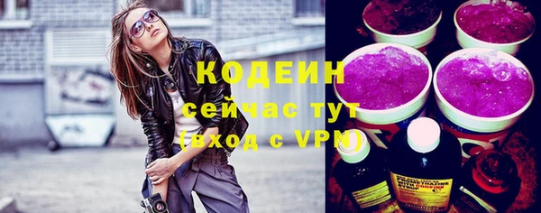 ECSTASY Алзамай