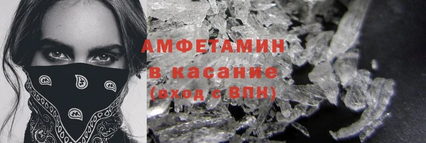 хмурый Аркадак