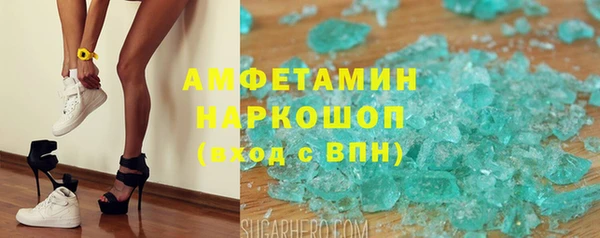 хмурый Аркадак