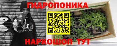 стафф Заволжье
