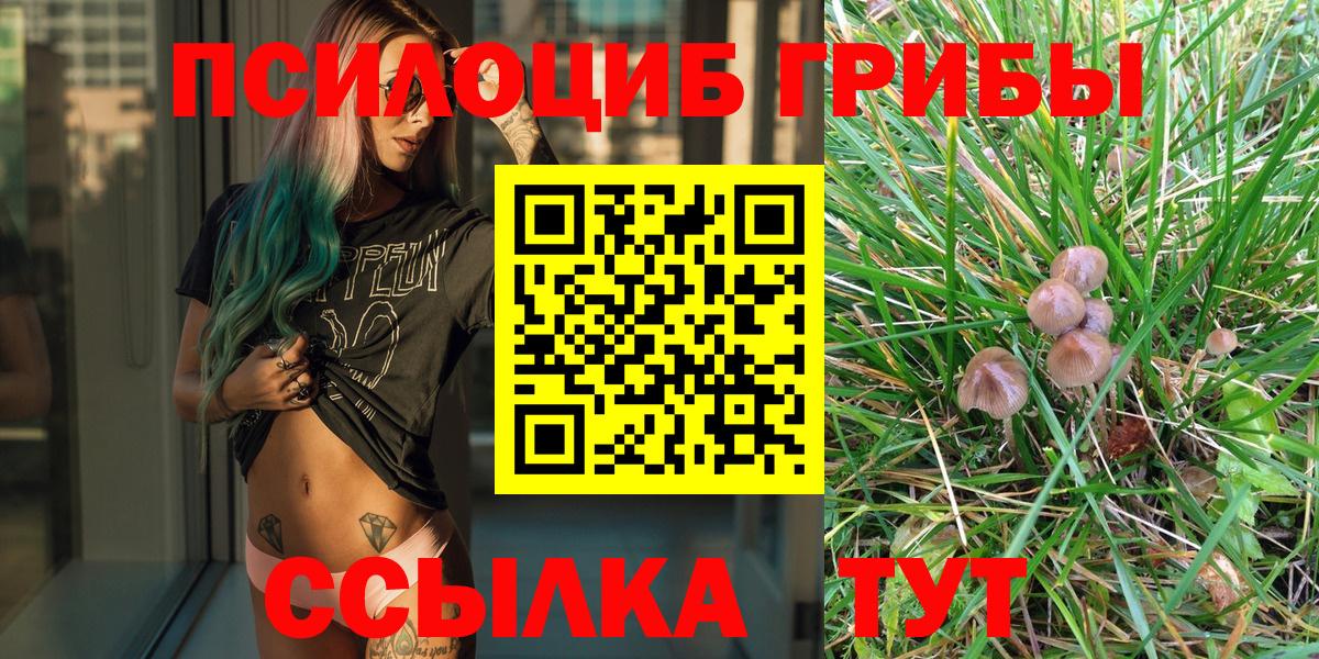 Набережные Челны  Галлюциногенные грибы Magic Shrooms  закладка  Вход с VPN 